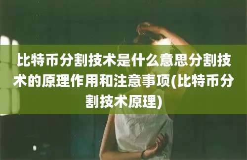 比特币分割技术是什么意思分割技术的原理作用和注意事项(比特币分割技术原理)