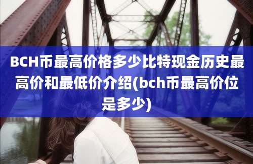 BCH币最高价格多少比特现金历史最高价和最低价介绍(bch币最高价位是多少)