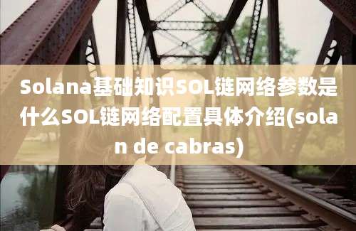 Solana基础知识SOL链网络参数是什么SOL链网络配置具体介绍(solan de cabras)