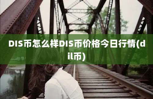 DIS币怎么样DIS币价格今日行情(dil币)