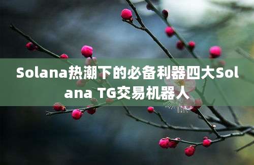 Solana热潮下的必备利器四大Solana TG交易机器人