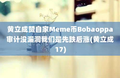 黄立成赞自家Meme币Bobaoppa审计没漏洞我们是先跌后涨(黄立成17)