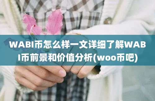 WABI币怎么样一文详细了解WABI币前景和价值分析(woo币吧)