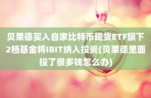 贝莱德买入自家比特币现货ETF旗下2档基金将IBIT纳入投资(贝莱德里面投了很多钱怎么办)