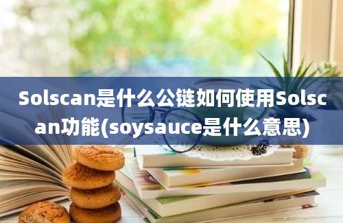 Solscan是什么公链如何使用Solscan功能(soysauce是什么意思)