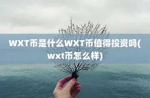 WXT币是什么WXT币值得投资吗(wxt币怎么样)