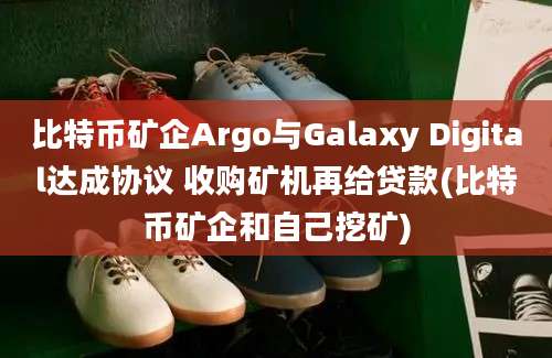 比特币矿企Argo与Galaxy Digital达成协议 收购矿机再给贷款(比特币矿企和自己挖矿)