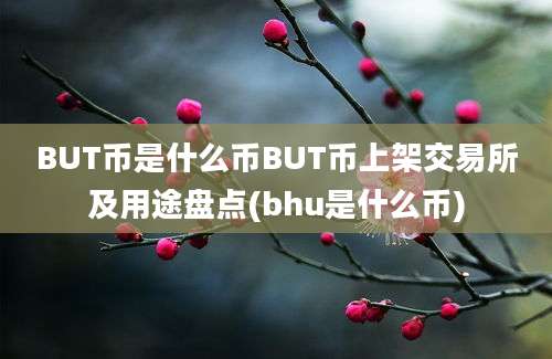 BUT币是什么币BUT币上架交易所及用途盘点(bhu是什么币)