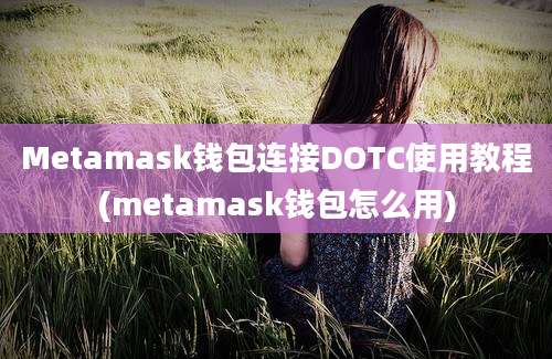 Metamask钱包连接DOTC使用教程(metamask钱包怎么用)