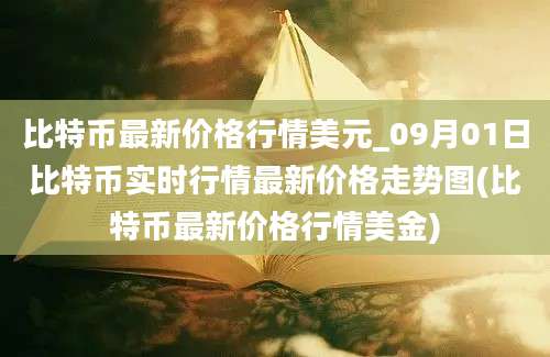 比特币最新价格行情美元_09月01日比特币实时行情最新价格走势图(比特币最新价格行情美金)