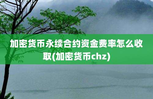 加密货币永续合约资金费率怎么收取(加密货币chz)