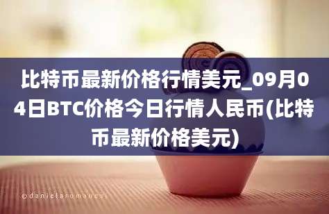 比特币最新价格行情美元_09月04日BTC价格今日行情人民币(比特币最新价格美元)