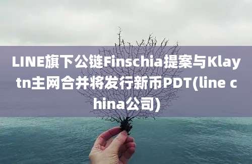 LINE旗下公链Finschia提案与Klaytn主网合并将发行新币PDT(line china公司)