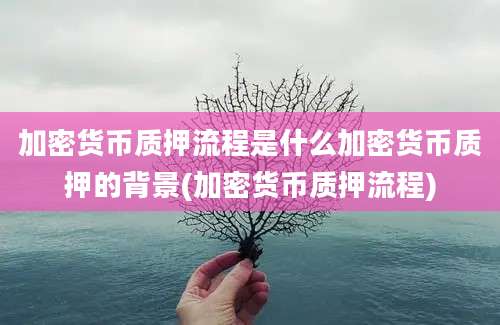 加密货币质押流程是什么加密货币质押的背景(加密货币质押流程)