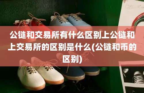 公链和交易所有什么区别上公链和上交易所的区别是什么(公链和币的区别)