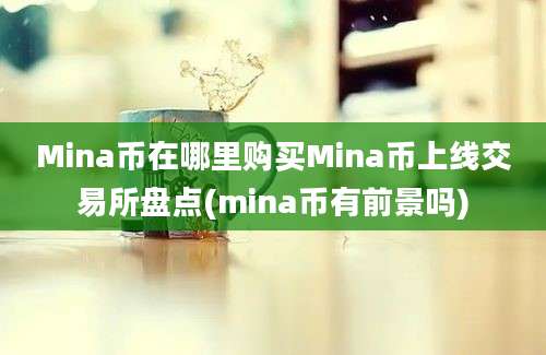 Mina币在哪里购买Mina币上线交易所盘点(mina币有前景吗)