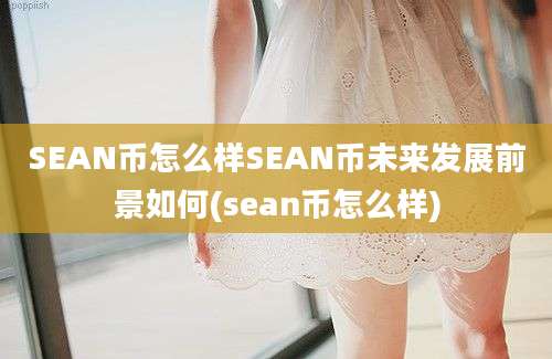 SEAN币怎么样SEAN币未来发展前景如何(sean币怎么样)