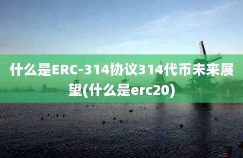 什么是ERC-314协议314代币未来展望(什么是erc20)