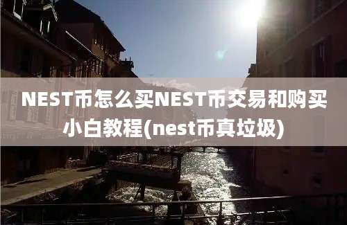 NEST币怎么买NEST币交易和购买小白教程(nest币真垃圾)