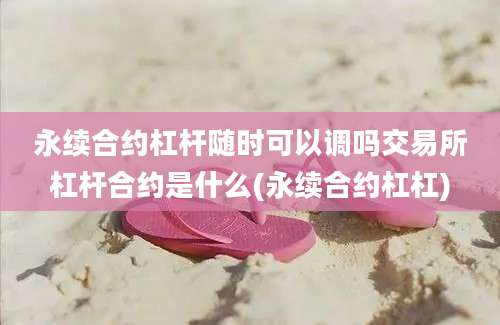 永续合约杠杆随时可以调吗交易所杠杆合约是什么(永续合约杠杠)