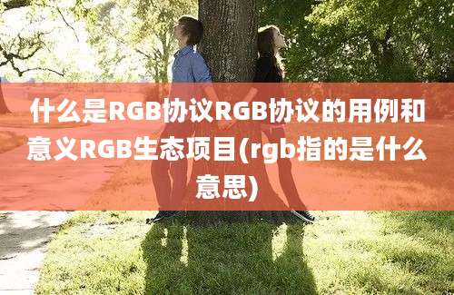 什么是RGB协议RGB协议的用例和意义RGB生态项目(rgb指的是什么意思)