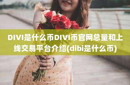 DIVI是什么币DIVI币官网总量和上线交易平台介绍(dibi是什么币)