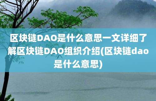 区块链DAO是什么意思一文详细了解区块链DAO组织介绍(区块链dao是什么意思)