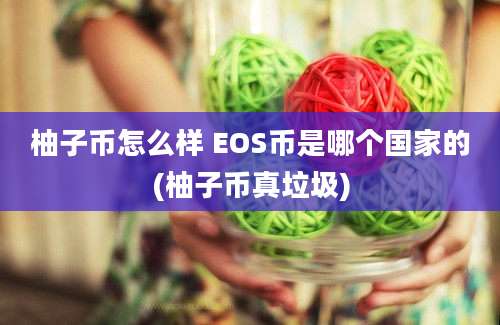 柚子币怎么样 EOS币是哪个国家的(柚子币真垃圾)