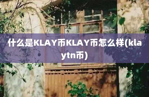 什么是KLAY币KLAY币怎么样(klaytn币)