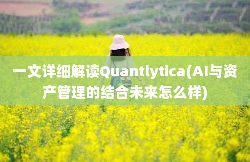 一文详细解读Quantlytica(AI与资产管理的结合未来怎么样)