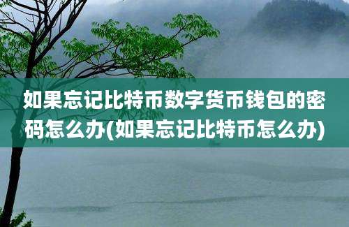 如果忘记比特币数字货币钱包的密码怎么办(如果忘记比特币怎么办)