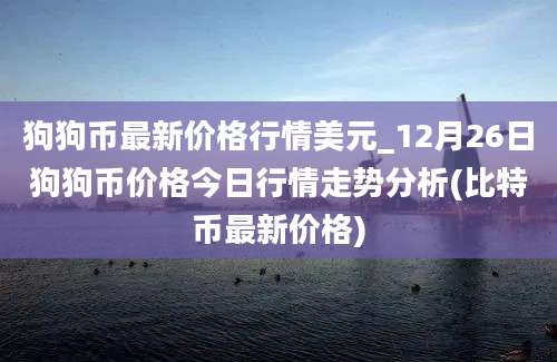 狗狗币最新价格行情美元_12月26日狗狗币价格今日行情走势分析(比特币最新价格)