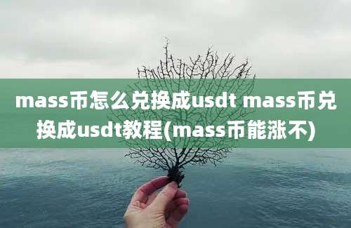 mass币怎么兑换成usdt mass币兑换成usdt教程(mass币能涨不)