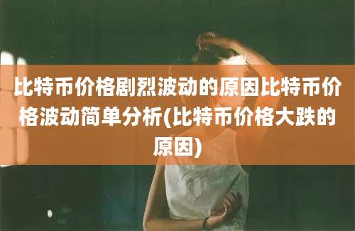 比特币价格剧烈波动的原因比特币价格波动简单分析(比特币价格大跌的原因)