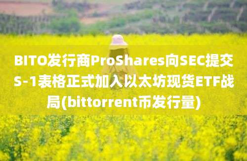 BITO发行商ProShares向SEC提交S-1表格正式加入以太坊现货ETF战局(bittorrent币发行量)