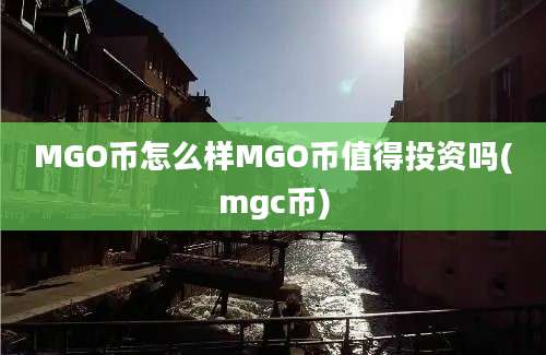 MGO币怎么样MGO币值得投资吗(mgc币)