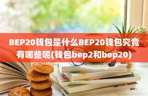 BEP20钱包是什么BEP20钱包究竟有哪些呢(钱包bep2和bep20)