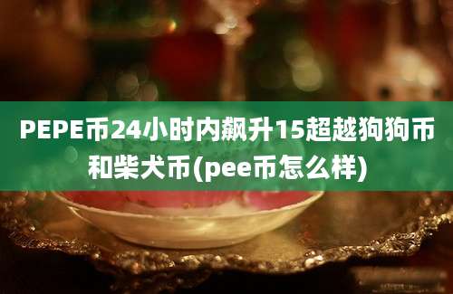 PEPE币24小时内飙升15超越狗狗币和柴犬币(pee币怎么样)