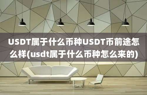 USDT属于什么币种USDT币前途怎么样(usdt属于什么币种怎么来的)