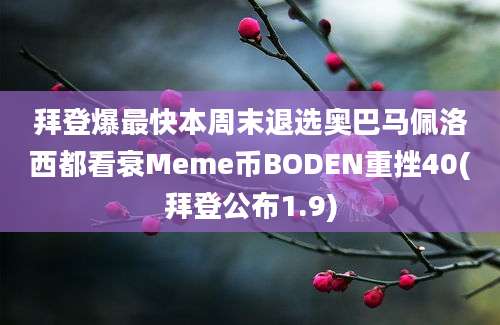 拜登爆最快本周末退选奥巴马佩洛西都看衰Meme币BODEN重挫40(拜登公布1.9)