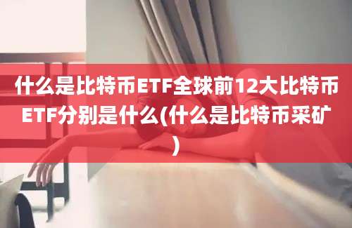 什么是比特币ETF全球前12大比特币ETF分别是什么(什么是比特币采矿)