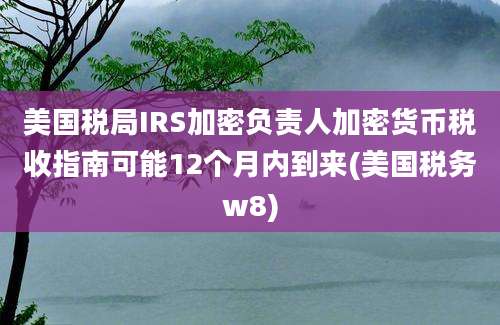 美国税局IRS加密负责人加密货币税收指南可能12个月内到来(美国税务w8)