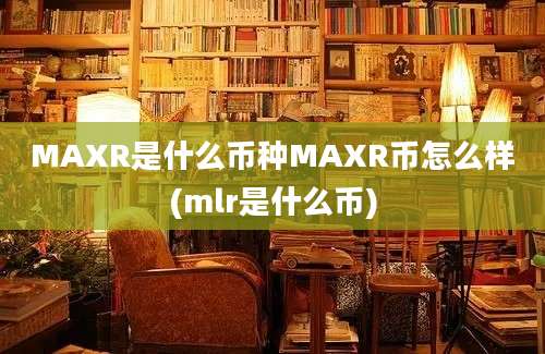 MAXR是什么币种MAXR币怎么样(mlr是什么币)