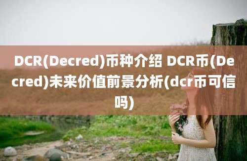 DCR(Decred)币种介绍 DCR币(Decred)未来价值前景分析(dcr币可信吗)