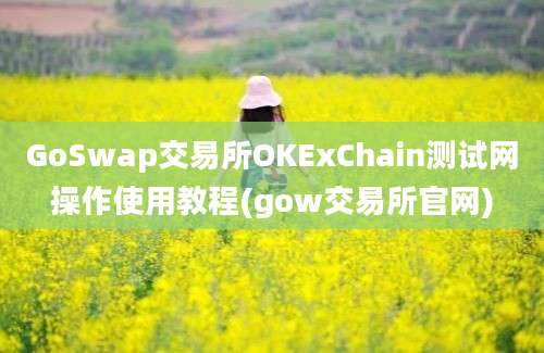 GoSwap交易所OKExChain测试网操作使用教程(gow交易所官网)