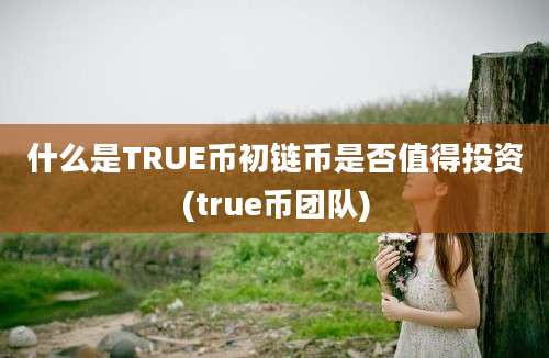 什么是TRUE币初链币是否值得投资(true币团队)