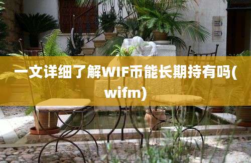 一文详细了解WIF币能长期持有吗(wifm)