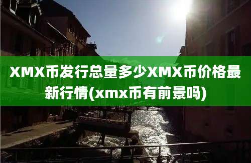 XMX币发行总量多少XMX币价格最新行情(xmx币有前景吗)