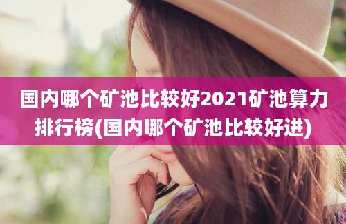 国内哪个矿池比较好2021矿池算力排行榜(国内哪个矿池比较好进)