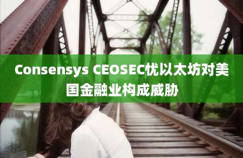 Consensys CEOSEC忧以太坊对美国金融业构成威胁